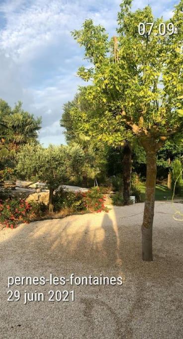 ペルヌ・レ・フォンテーヌLa Provence Avec Piscine Privative En Campagneアパートメント エクステリア 写真
