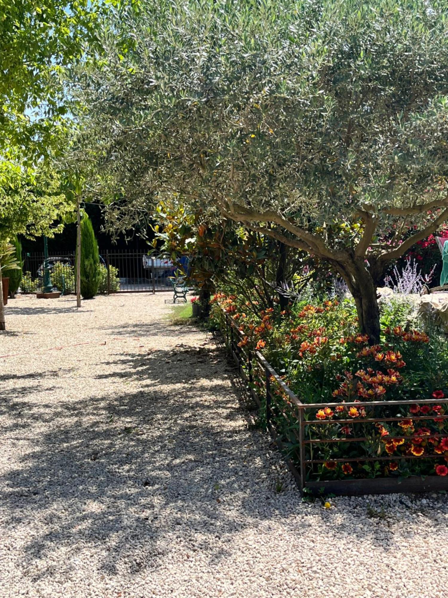 ペルヌ・レ・フォンテーヌLa Provence Avec Piscine Privative En Campagneアパートメント エクステリア 写真